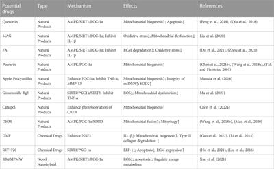 PGC-1α in osteoarthritic chondrocytes: From mechanism to target of action